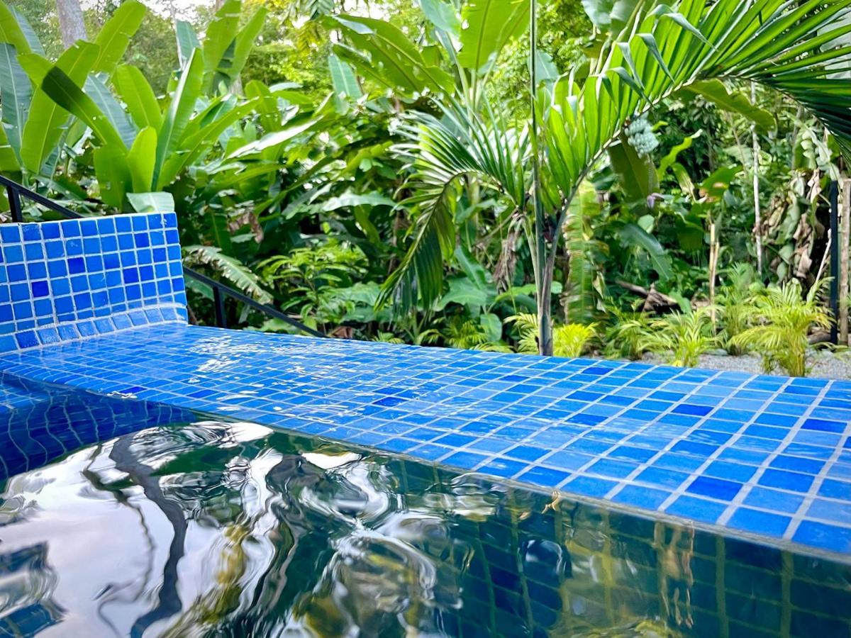 Villa Joeyshe- New Luxury Villa With Pool & Ac Puerto Viejo de Talamanca Esterno foto